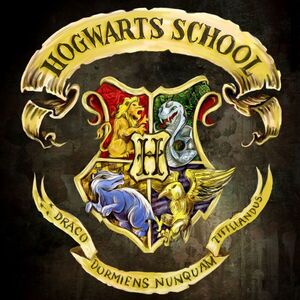 Hogwarts House Chef